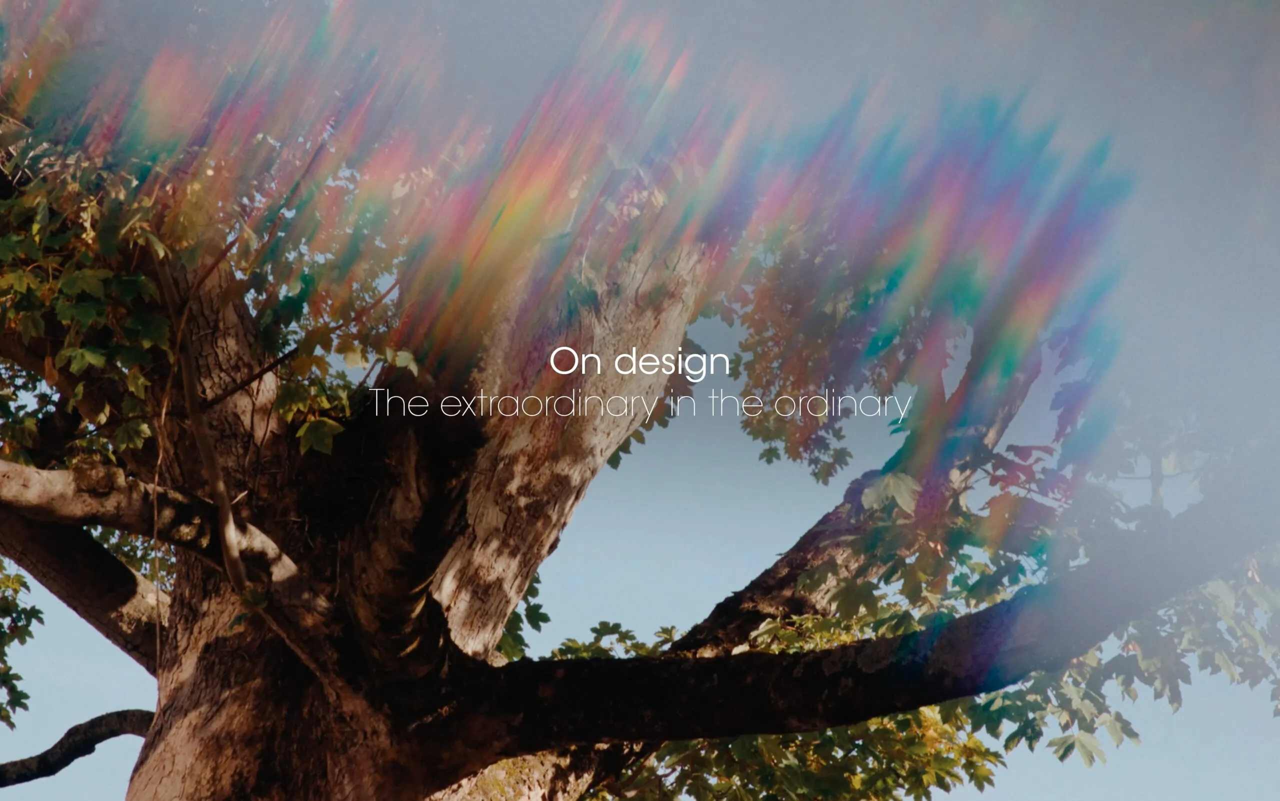 Extraordinary in the Ordinary - photo 1