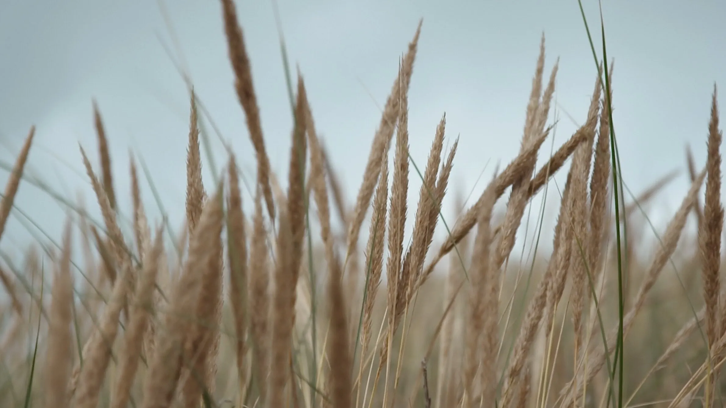 Vola Danish Summerhouse - photo 1