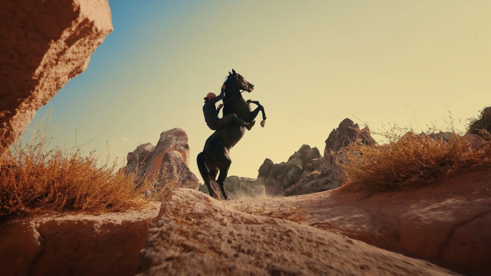 Ficip - Brand Film - photo 4