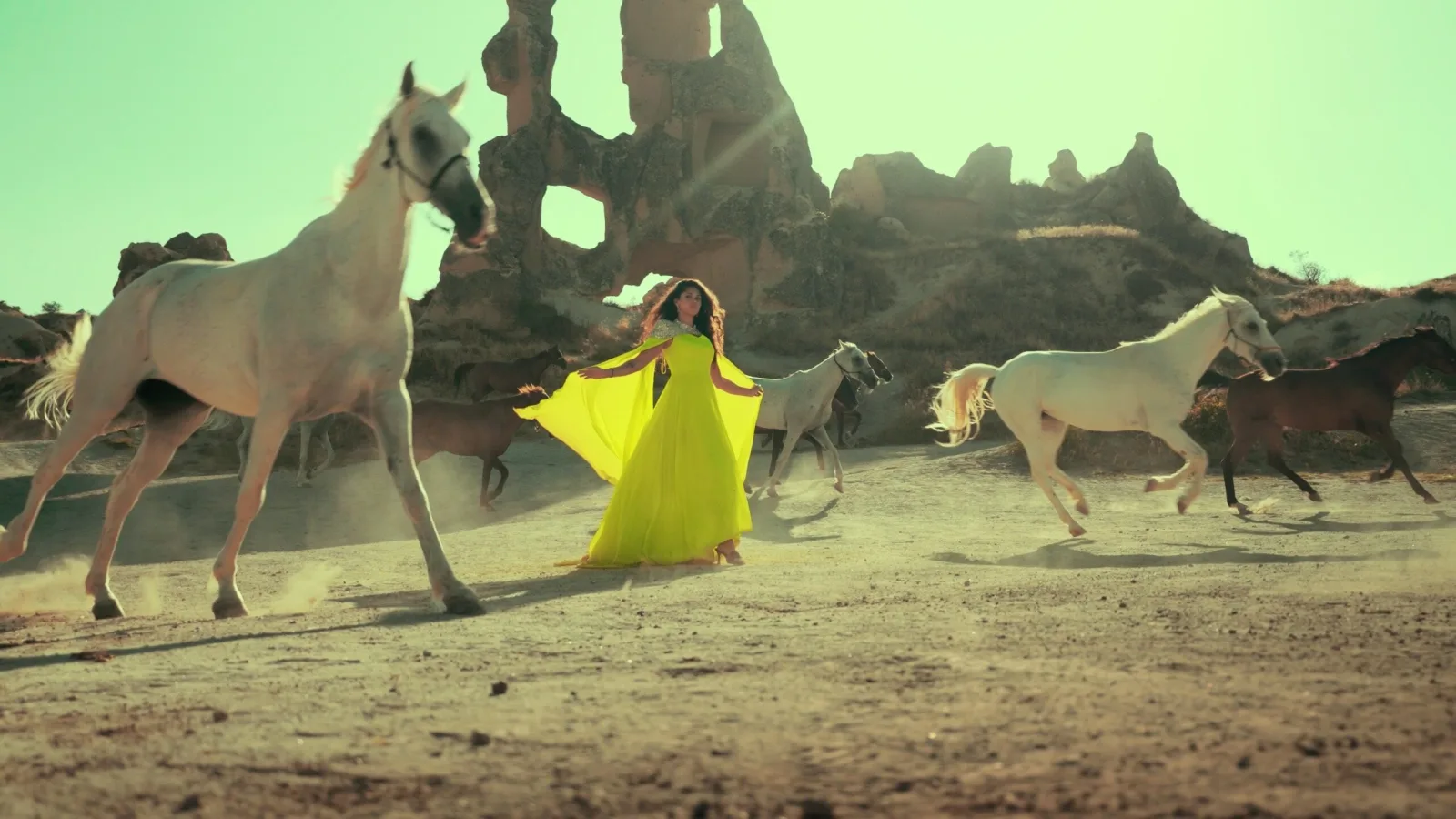 Ficip - Brand Film – Ficip not made to blend in