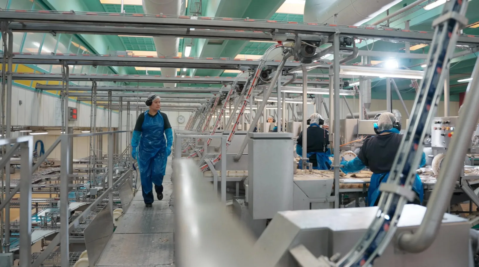 Seaby Fish Industry - Brandingfilm - photo 4