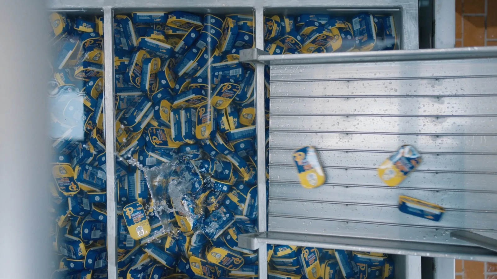 Seaby Fish Industry - Brandingfilm - photo 4