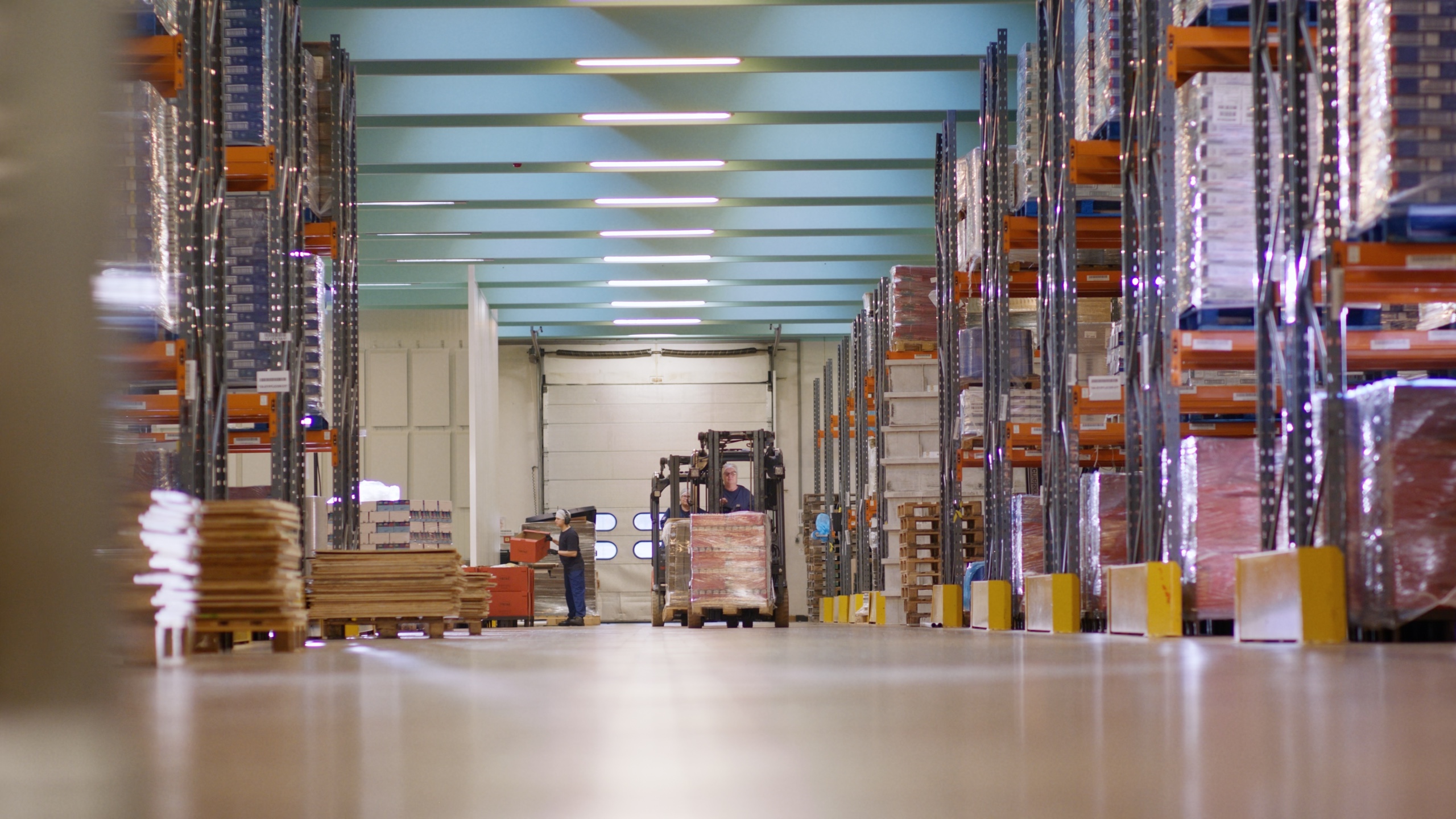 Seaby Fish Industry - Brandingfilm - photo 3