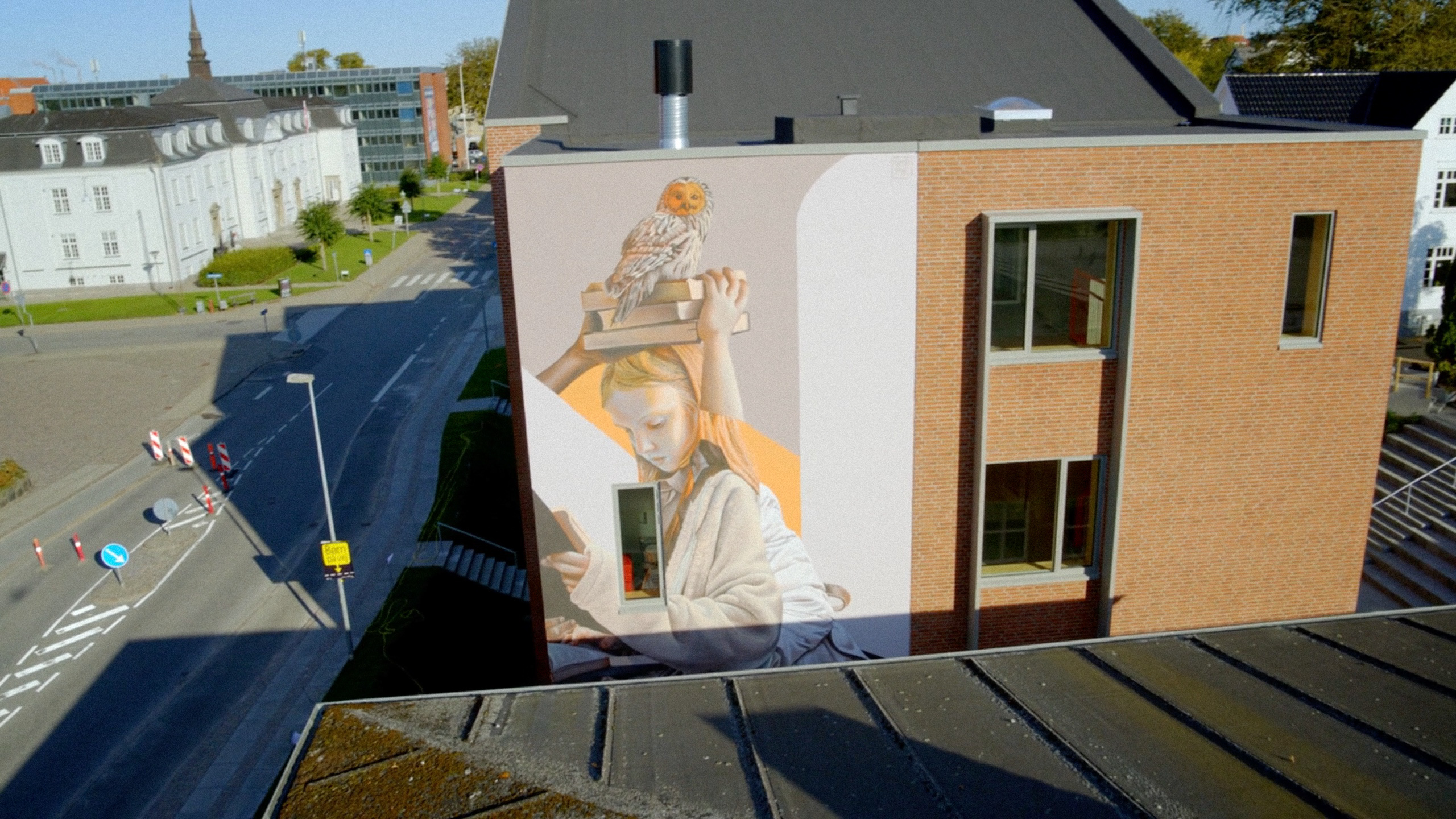 Aalborg Street Art - National Geographic Channel - photo 3