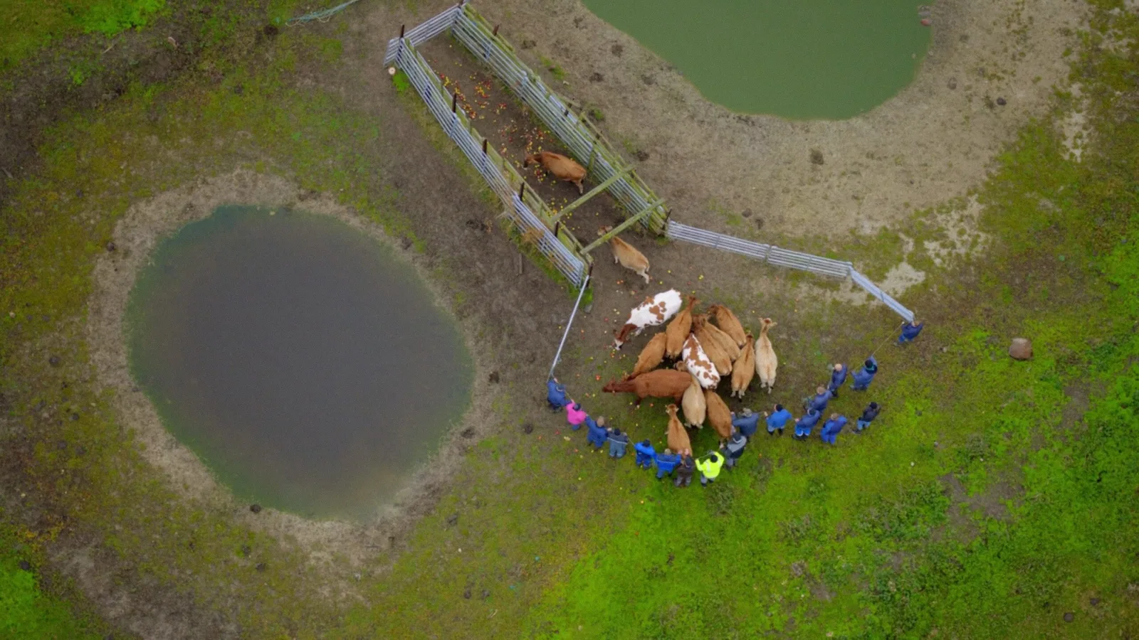 Ærø og Birkholm - National Geographic Channel - photo 1