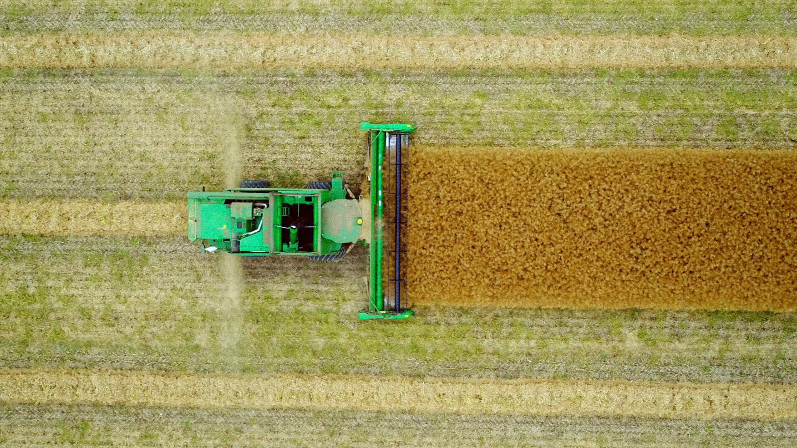 Bornholm Rapsolie - National Geographic Channel - photo 3