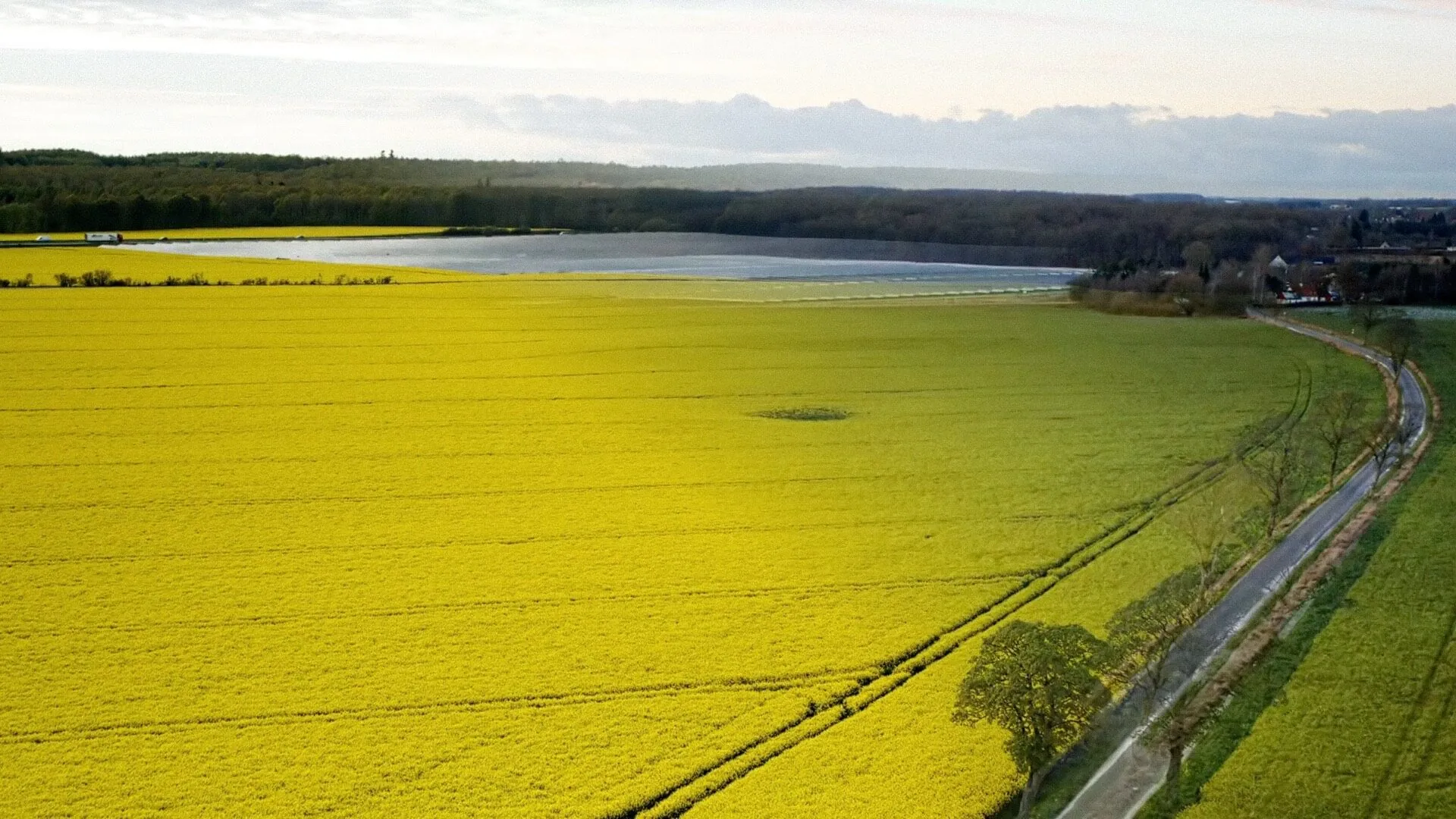 Bornholm Rapsolie - National Geographic Channel - photo 2