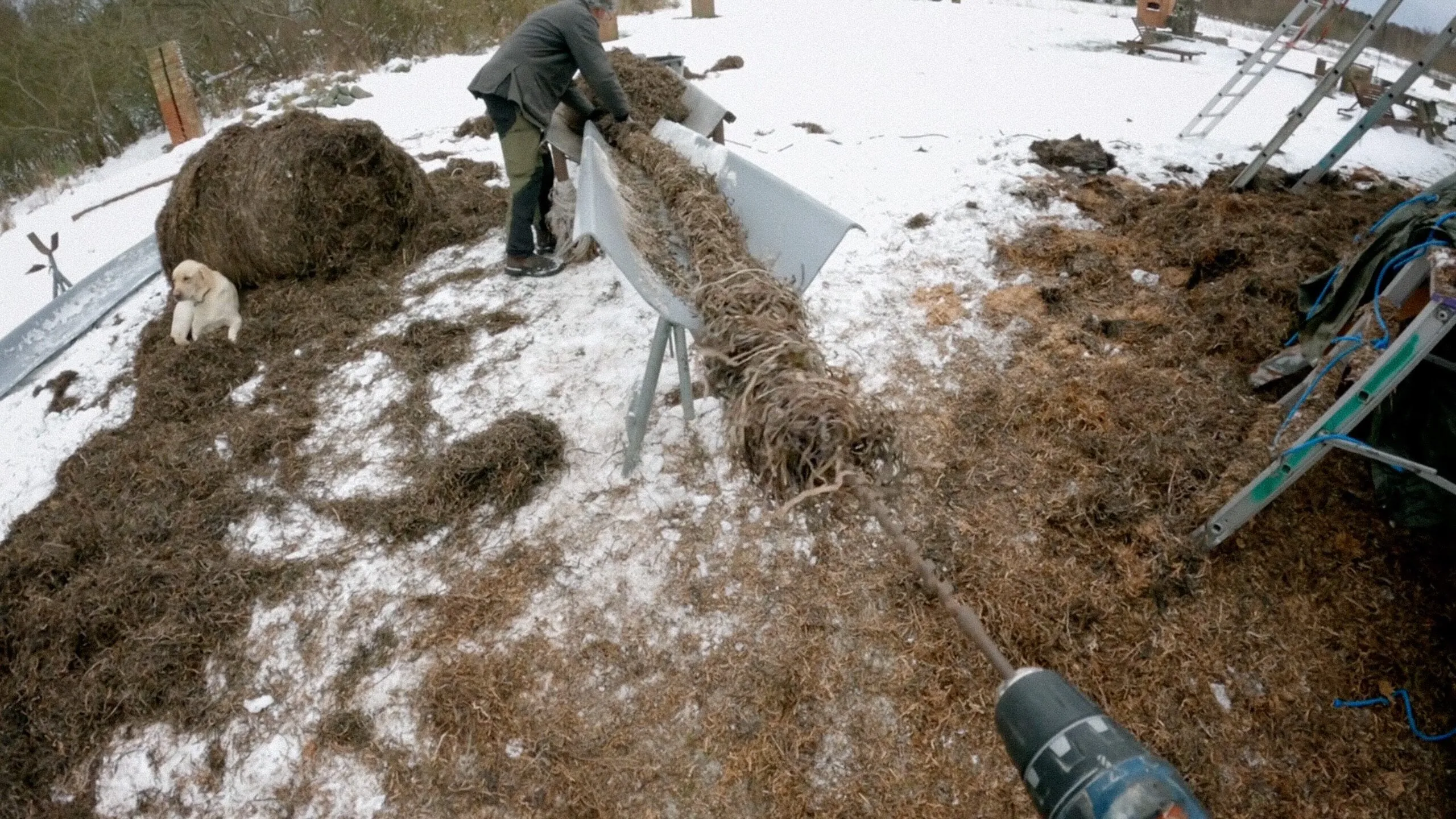 Læsø - National Geographic Channel - photo 1
