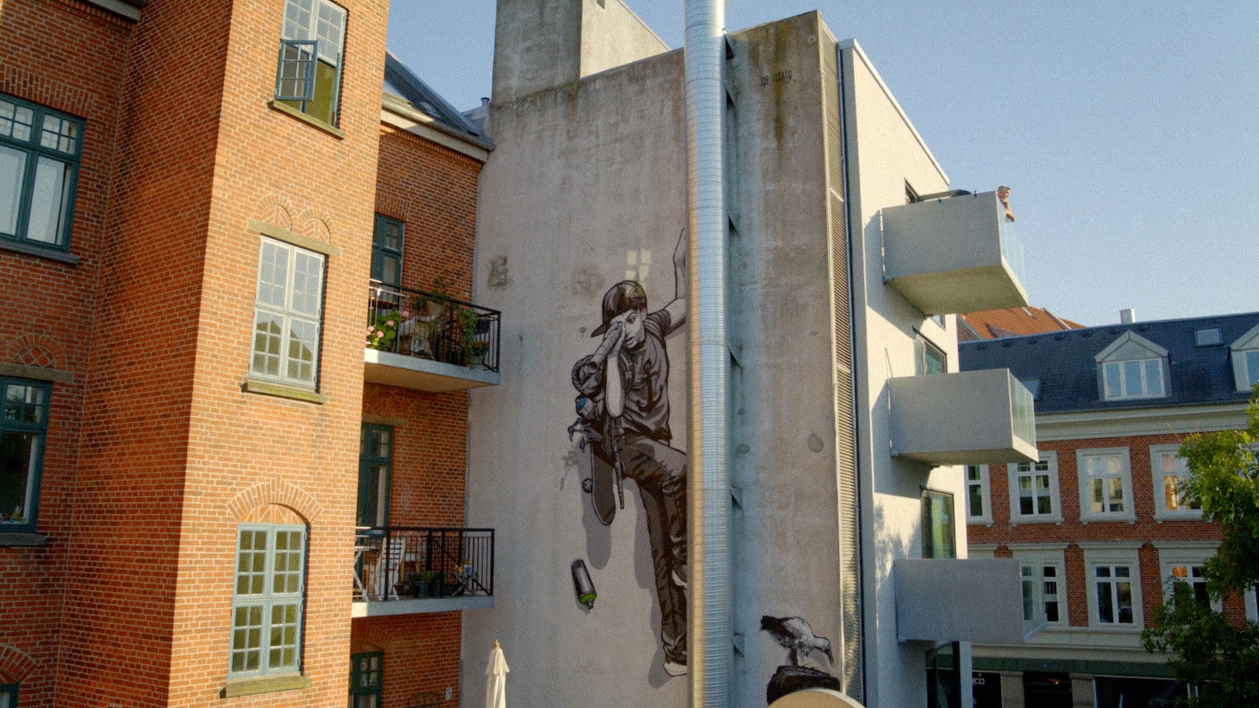 Aalborg Street Art - National Geographic - photo 2