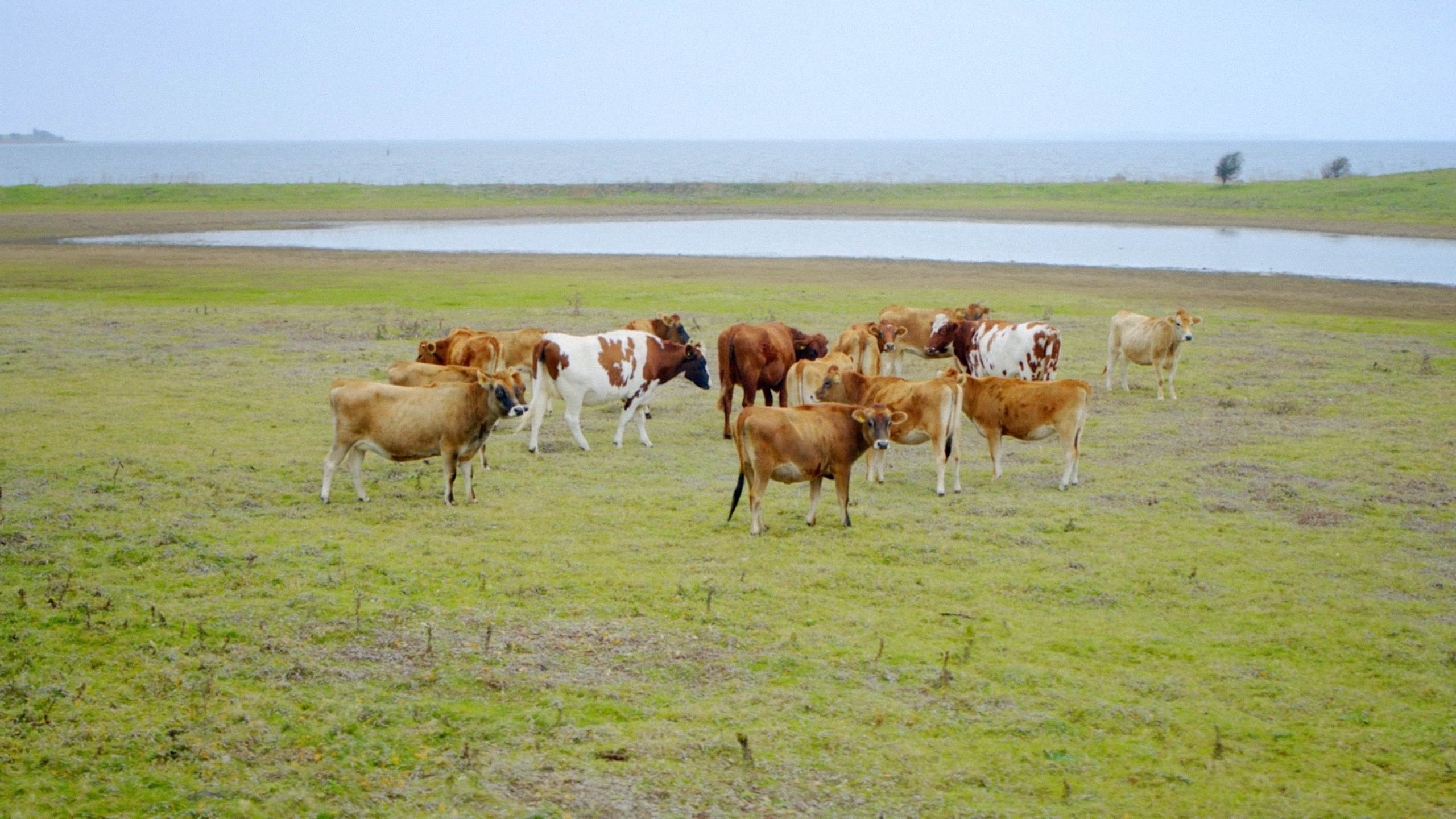 Ærø og Birkholm - National Geographic - photo 2