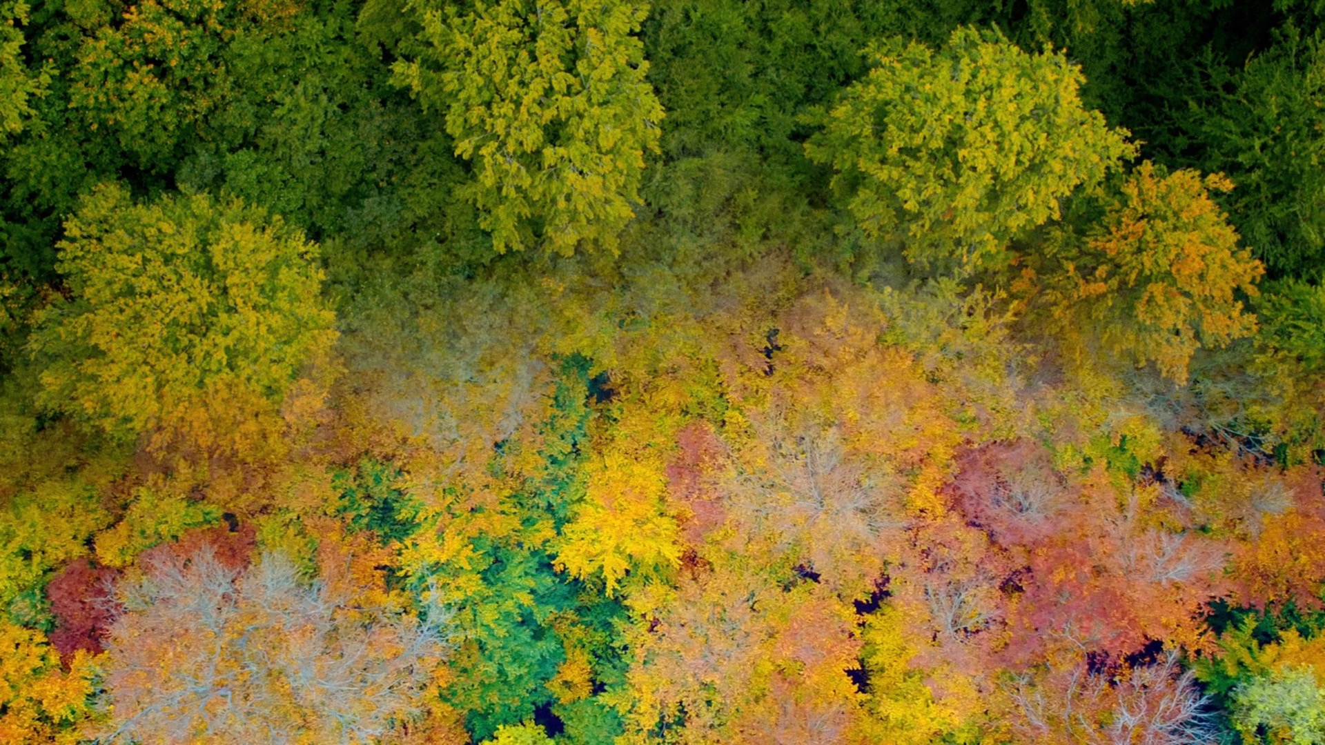 Ærø og Birkholm - National Geographic Channel - photo 9