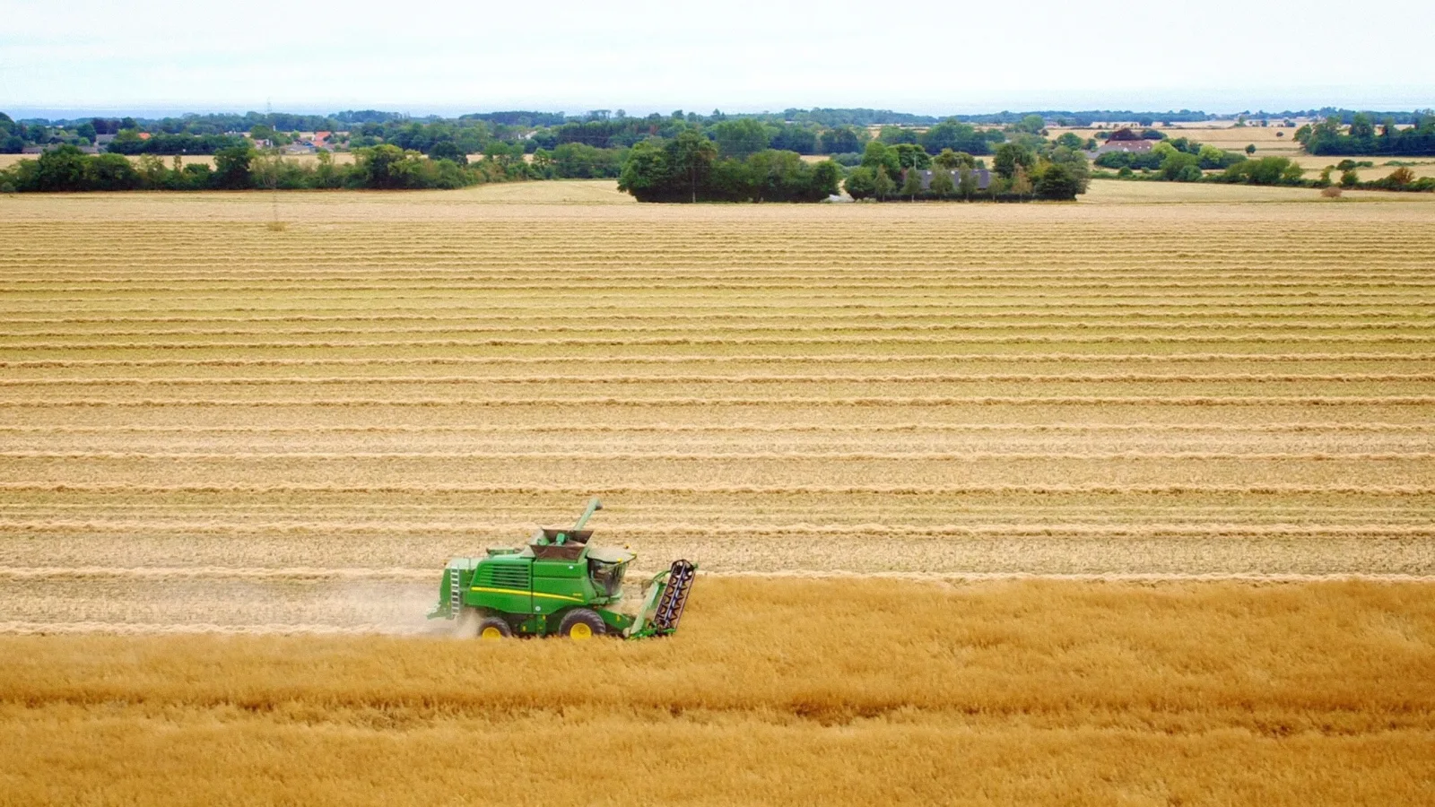 Bornholm Rapsolie – National Geographic - فيديو درون by Interfilm Productions