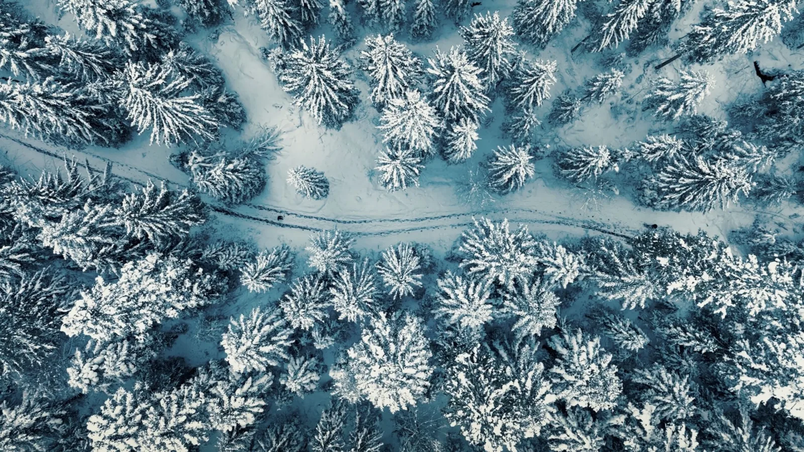 Warner Music – Gobs - فيديو كليب by Interfilm Productions