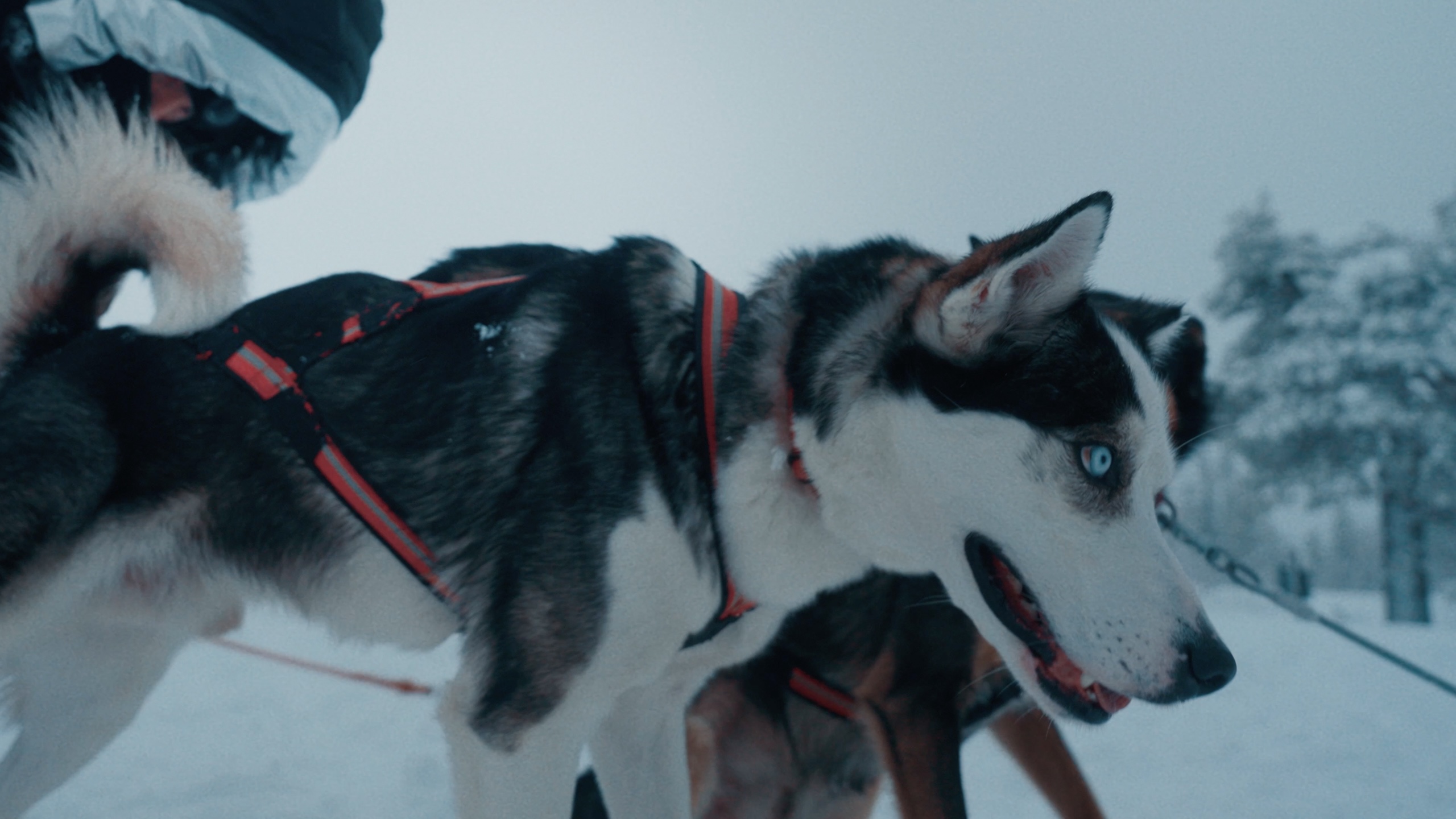 Når verden vælter - photo 2